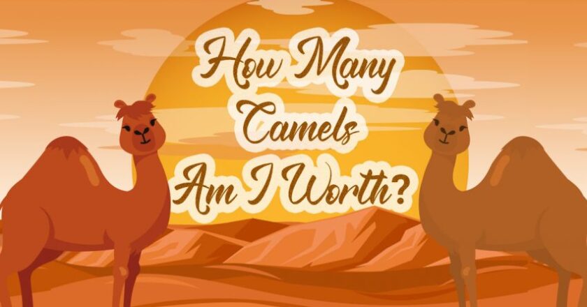 How Many Camels Am I Worth? A Deep Dive into the Viral Camel Worth Trend